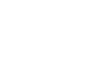 logo bile